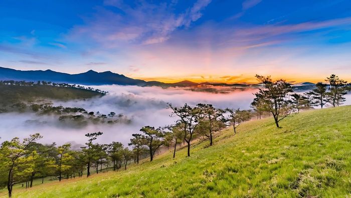 Khám phá Đà Lạt trong dịp Tết Dương Lịch