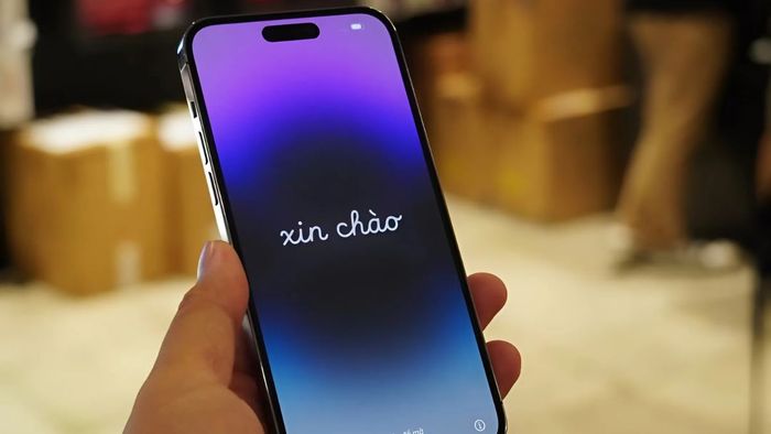 Nên chọn iPhone 14 Pro Max bản Mỹ LL/A hay bản VN/A?