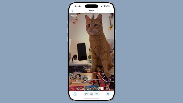 iOS 18.2 cải tiến cả ứng dụng Photos và trình phát video cho trải nghiệm người dùng mượt mà hơn