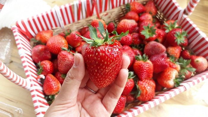 Những lưu ý khi chọn dâu để chế biến mứt