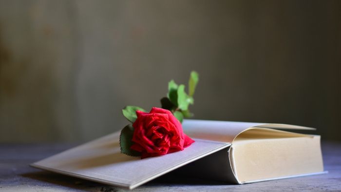 Tuyển tập những bài thơ hay nhất về nỗi nhớ người yêu trong đêm khuya
