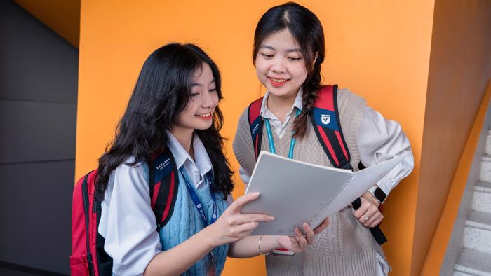 Chương trình đào tạo hệ Đại học của VLU