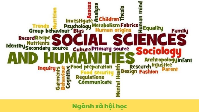 Ngành Xã hội học hiện đang là một trong những ngành học được quan tâm nhiều nhất