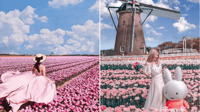 Lễ hội hoa tulip