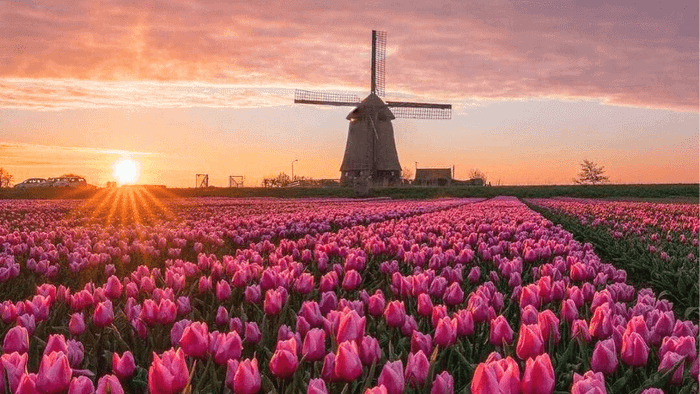 Bí quyết du lịch châu Âu vào mùa xuân