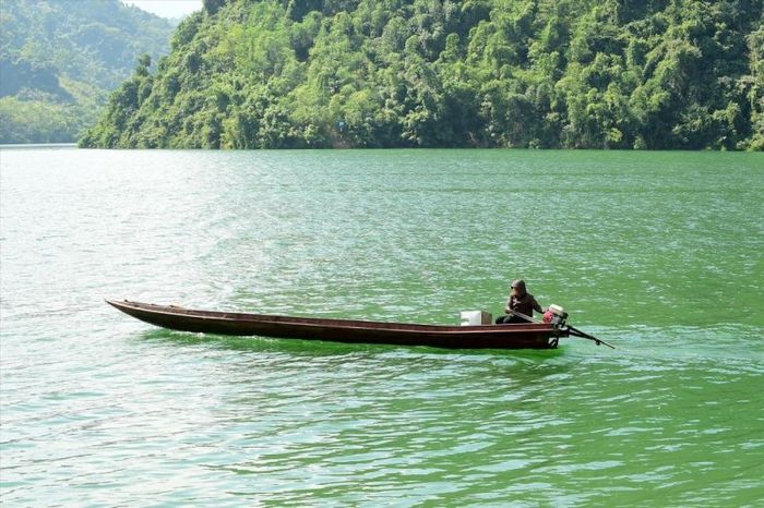 Nếu sinh vào giờ Thân, cuộc đời của bé thường khó đoán và dễ thay đổi