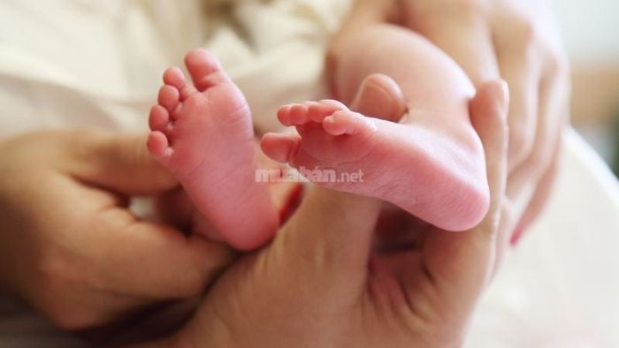 Bé sinh vào giờ Mão thường rất thông minh và gặp nhiều điều may mắn