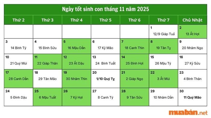 Danh sách ngày tốt sinh con tháng 11 năm 2025