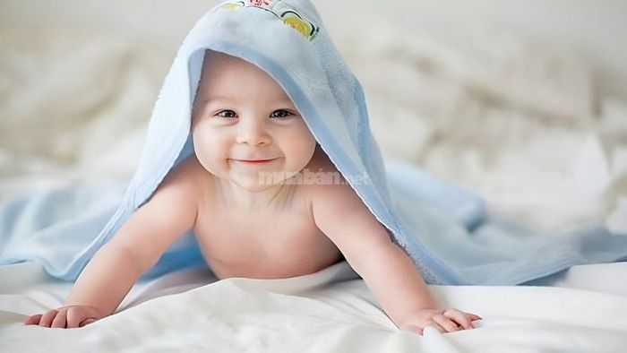 Bé sinh vào giờ Dậu thường có cuộc sống khá yên bình