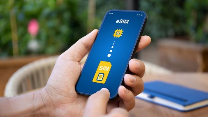 Sim Úc được chia thành hai loại chính: sim vật lý và eSIM