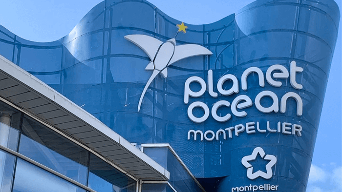 Thế giới đại dương kỳ thú tại Planet Ocean Montpellier, Pháp