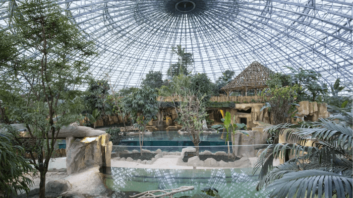 ZooParc de Beauval mang đến những khung cảnh thiên nhiên hoang sơ nhất