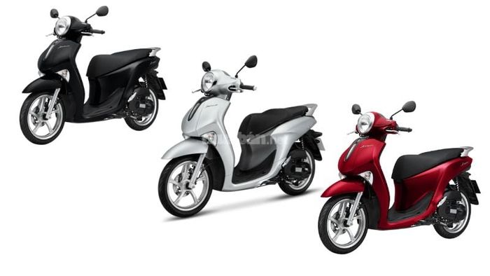 Màu sắc của phiên bản tiêu chuẩn Yamaha Janus 125 2024