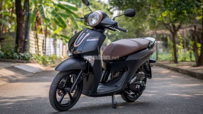Tổng quan về xe Yamaha Janus 125 2024