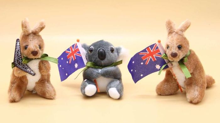 Du lịch Úc nên mua quà gì? Khám phá ngay những chú gấu bông Kangaroo siêu dễ thương