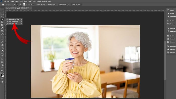 Hướng dẫn đảo ngược vùng chọn trong Photoshop bằng Quick Selection Tool - Bước 1 (Hình minh họa)