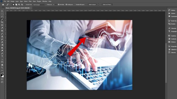 Hướng dẫn đảo ngược vùng chọn trong Photoshop bằng Magic Wand Tool - Bước 2 (Hình minh họa)
