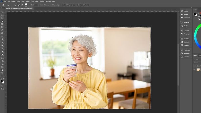 Hướng dẫn đảo ngược vùng chọn trong Photoshop bằng Quick Selection Tool - Bước 3 (Hình minh họa)