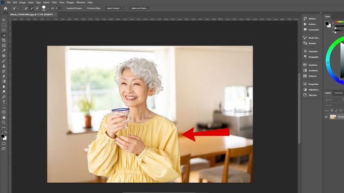Hướng dẫn đảo ngược vùng chọn trong Photoshop bằng Quick Selection Tool - Bước 2 (Hình minh họa)