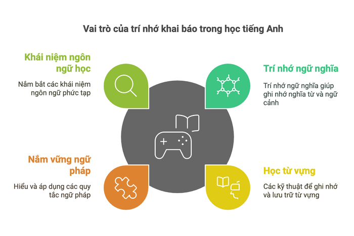 Vai trò của trí nhớ khai báo trong quá trình học tiếng Anh