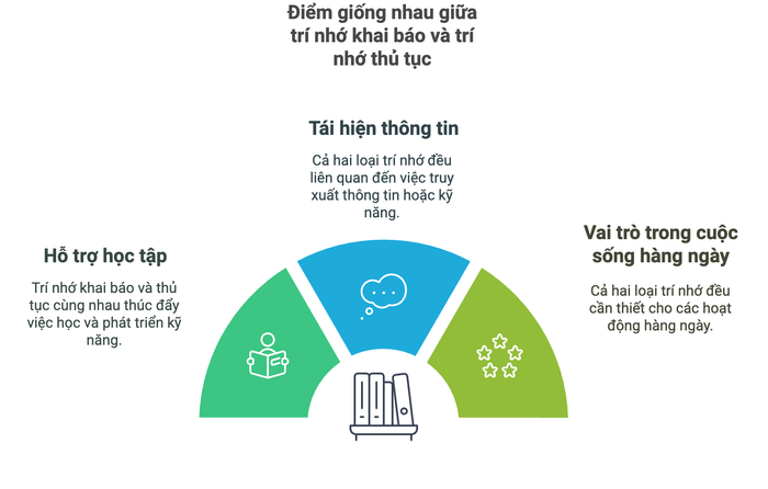 Điểm tương đồng giữa trí nhớ khai báo và trí nhớ thủ tục