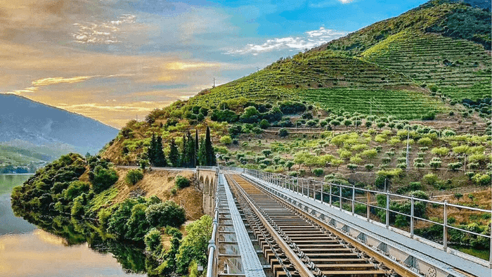 Địa điểm du lịch châu Âu thung lũng Douro
