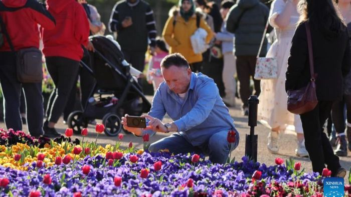 Kinh nghiệm tham gia lễ hội hoa Floriade