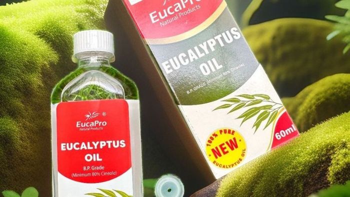 Dầu khuynh diệp - món quà lý tưởng khi du lịch Úc