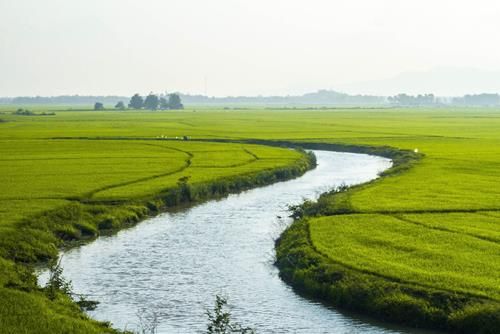Tử vi của 12 cung hoàng đạo