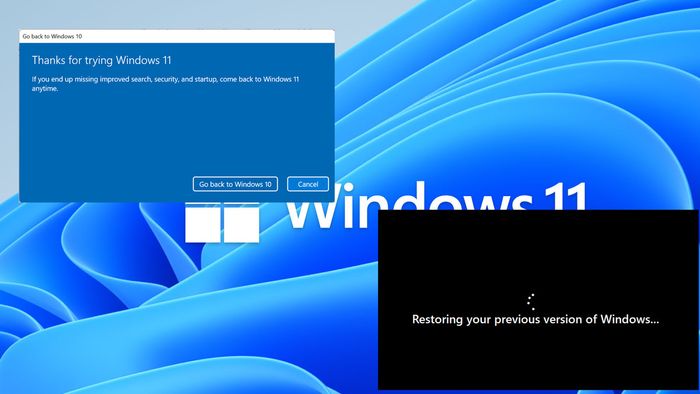 Ngày càng nhiều người quyết định quay lại với Windows 10