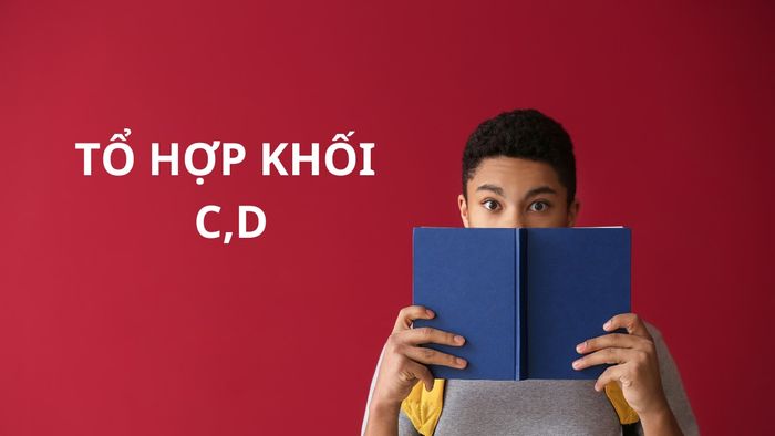 Khám phá ngành văn học và các khối thi phù hợp khi muốn theo đuổi ngành văn học.