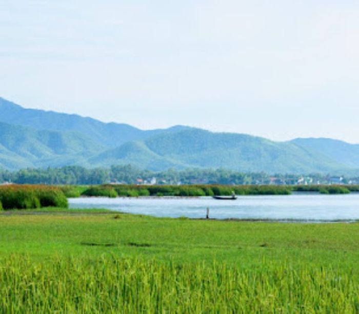 Đầm Trà Ổ, hành trình khám phá vẻ đẹp thiên nhiên kỳ thú tại Bình Định 9