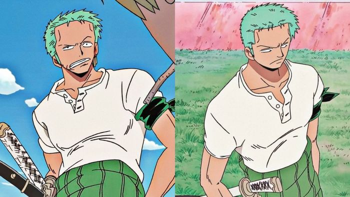 Tiểu sử của Roronoa Zoro trong One Piece trước timeskip