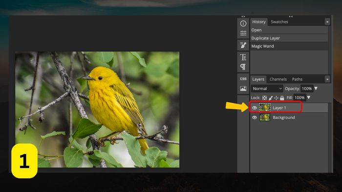 Làm mờ ảnh trong Photoshop – Bước 1