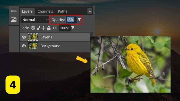 Làm mờ ảnh trong Photoshop – Bước 4
