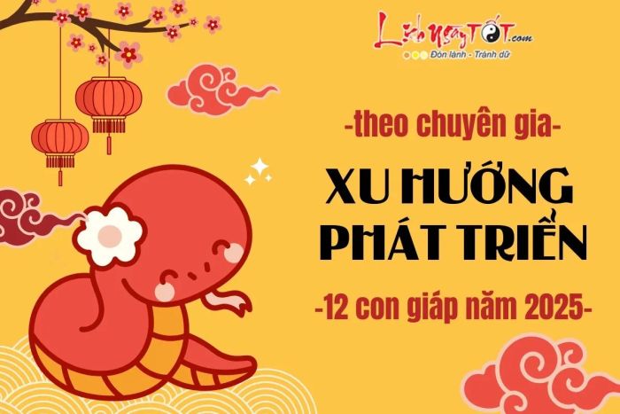 Xu hướng phát triển trong năm 2025