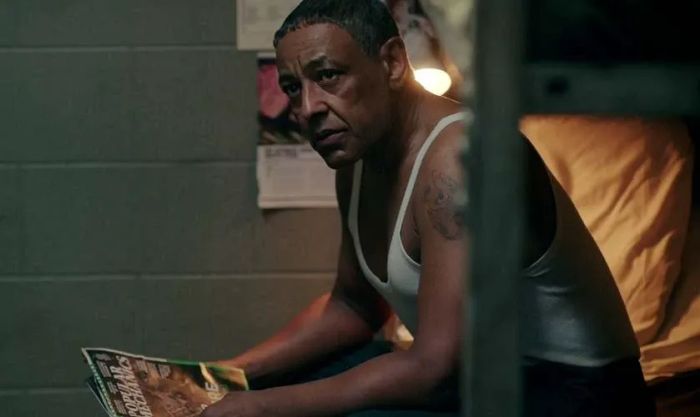 Kính Vạn Hoa - Kaleidoscope (2023) là một bộ phim độc đáo, trong đó Giancarlo Esposito tham gia với vai trò chủ chốt.