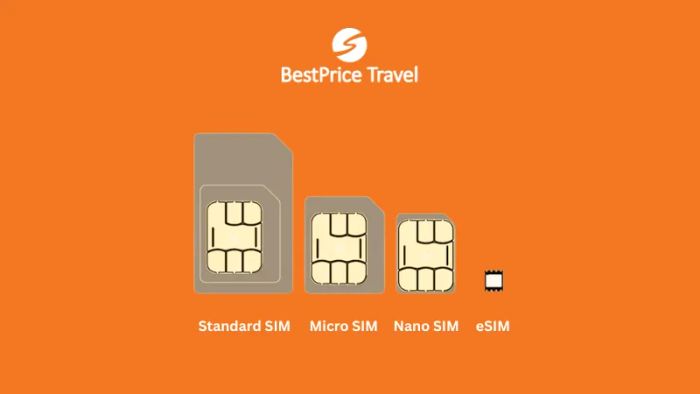 Có những loại sim nào để mua khi đi du lịch châu Âu?