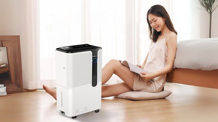 Máy hút ẩm cho phòng 60m²: Lựa chọn nào là tốt nhất?