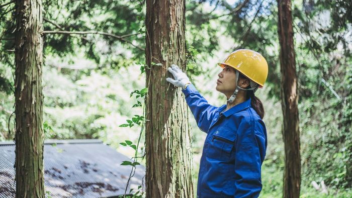 Ngành nào phù hợp với khối Toán, Lý, Sinh?