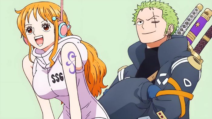 Nami One Piece x Zoro