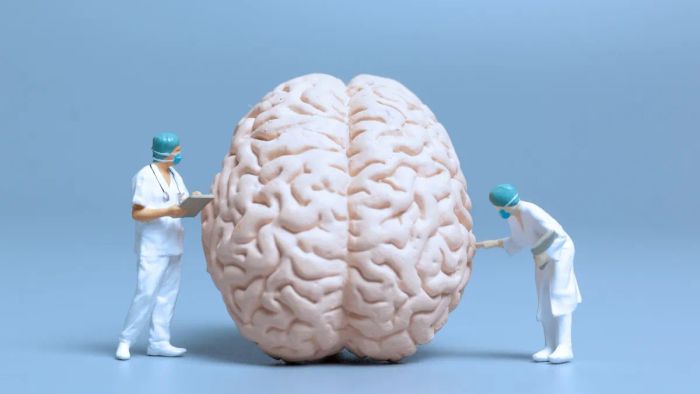 Lợi ích của việc học tiếng Anh trong việc phát triển trí tuệ và cải thiện khả năng tư duy
