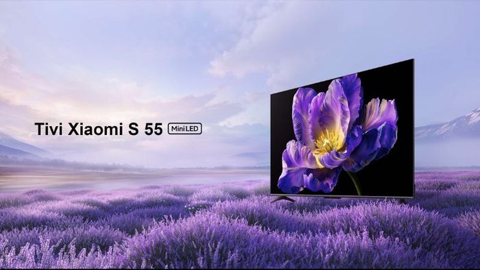 tivi-xiaomi-55-inch-gia-nhu-the-nao-2