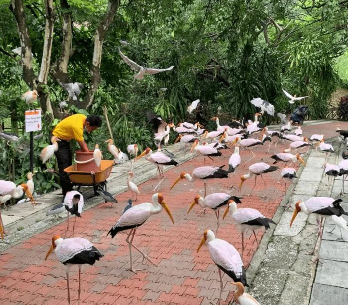 Vườn Chim KL - Kuala Lumpur Bird Park