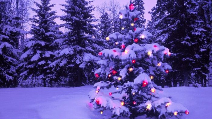Cách làm cây thông Noel