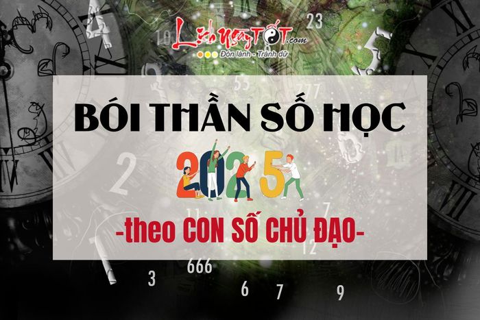Bói thần số học năm 2025 theo con số chủ đạo