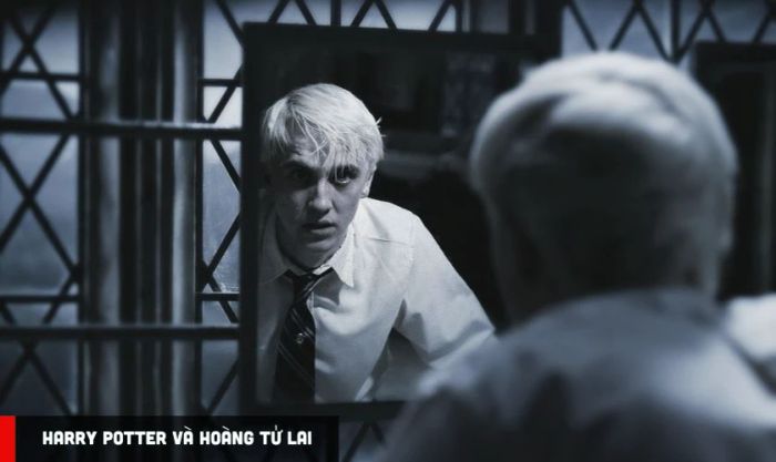 Harry Potter là chuỗi phim gắn liền mật thiết với tên tuổi của Tom Felton