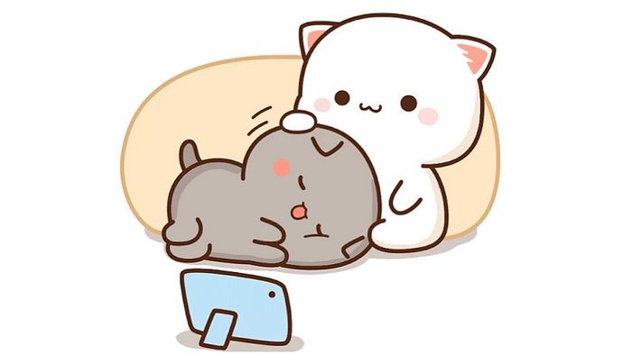tai-anh-meo-cute-4
