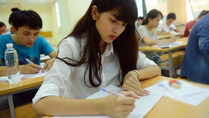 Khối D01 bao gồm những ngành nào?