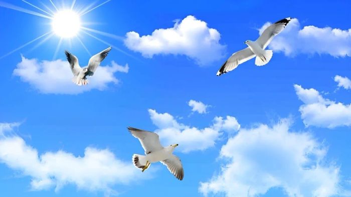 Tranh vẽ 3D với phong cách sáng tạo